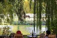 Cottonwood Vineyard Wine Tasting Tour thumbnail 1