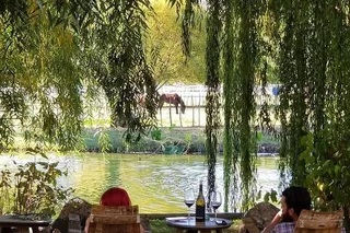 Cottonwood Vineyard Wine Tasting Tour
