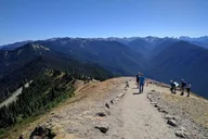 Olympic National Park Private Day Tour with Lunch thumbnail 6