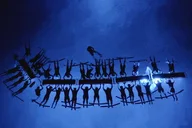 Kona Manta Ray Night Snorkel thumbnail 4