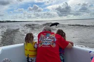 Orange Beach Dolphin Watching Cruise thumbnail 4