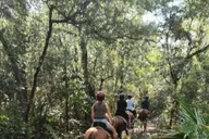 Amelia Island Horseback Ride at Pumpkin Hill 2 hr thumbnail 3
