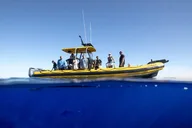Oahu Shark-Dive Tour North Shore 2 hr thumbnail 5