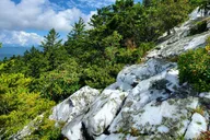 Shining Rock Guided Hike in Blue Ridge Mountains thumbnail 5