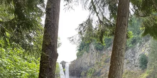 Seattle Snoqualmie Falls and Wineries Tour