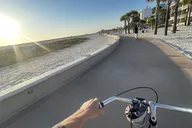 Treasure Island Bicycle Rental Half Day thumbnail 1