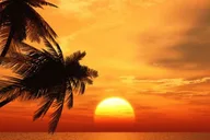 Key West Tiki Boat Sunset Cruise 2 hr thumbnail 1