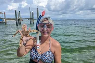 Panama City Beach Dolphin Tour Guided by Marine Biologist 2 hr thumbnail 2