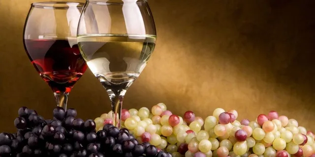 Atlanta Wine Country Tour - Image 4