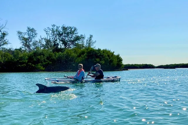 Tampa Bay Clear Kayak Tour of Shell Key Preserve - Image 6