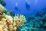 Maui Molokini & Turtle Town Snorkel Tour 5 hr thumbnail 6