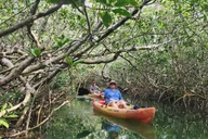 Florida Keys Kayak and Snorkel Adventure thumbnail 5