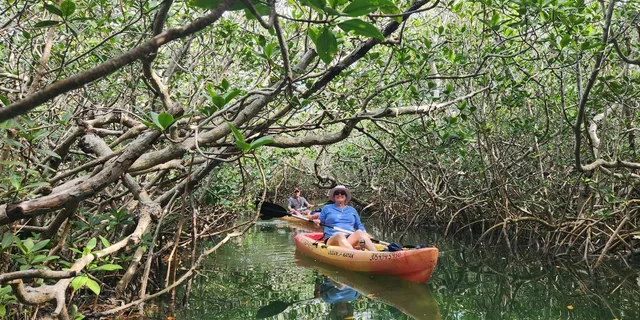 Florida Keys Kayak and Snorkel Adventure - Image 5