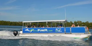 Naples Dolphin and Eco Cruise to Keewaydin Island 3 hr