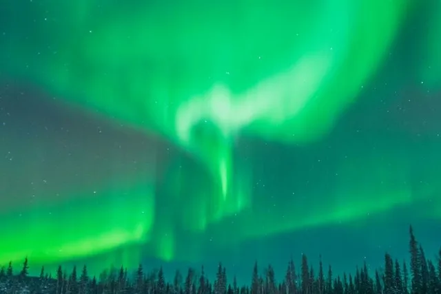 Fairbanks Aurora Chasing Tour 4 hr - Image 5