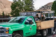 Jackson Grand Teton Wildlife Safari thumbnail 5