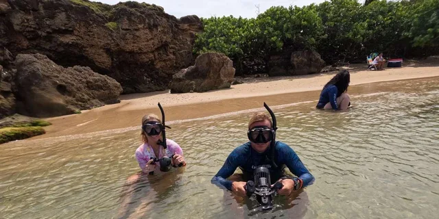 West Palm Beach Jet Snorkel Tour with Videos - Image 2
