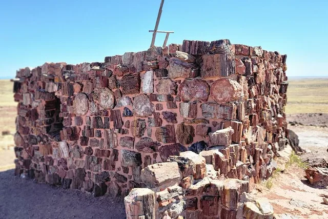 Sedona Petrified Forest and Painted Desert Tour - Image 2