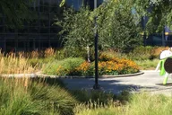 San Francisco Silicon Valley Private Tour thumbnail 3