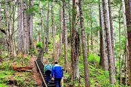 Sitka Tongass National Forest Hike thumbnail 1
