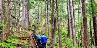 Sitka Tongass National Forest Hike