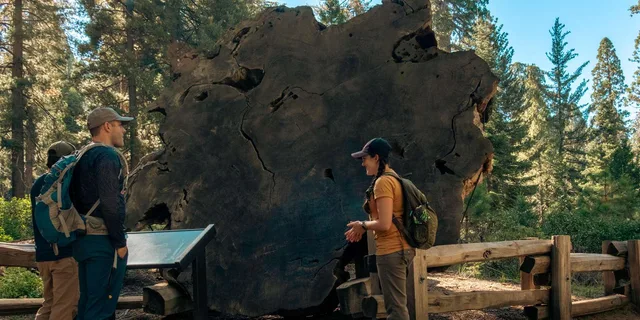 Sequoia National Park Private Guided Hiking Tour - Image 2