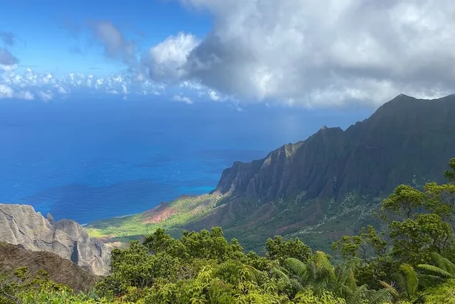 Kauai Waimea Canyon and South Side Private Tour - Image 4