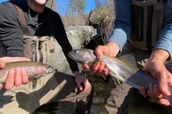 Tuolumne Fly Fishing Adventure 2 Days thumbnail 5