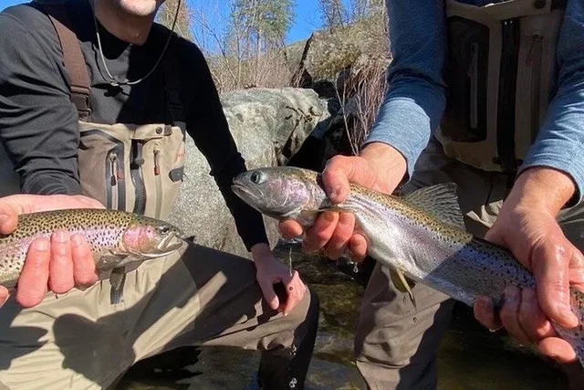 Tuolumne Fly Fishing Adventure 2 Days - Image 5