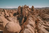 San Diego Joshua Tree National Park Day Trip thumbnail 2