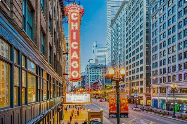 Chicago Private Tour - Image 3