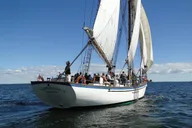 Camden Windjammer Day Sail thumbnail 4