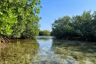 Florida Keys Kayak and Paddleboard Rental thumbnail 6