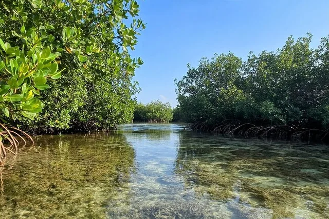 Florida Keys Kayak and Paddleboard Rental - Image 6