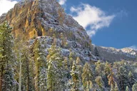 Las Vegas Mount Charleston Driving Adventure thumbnail 6