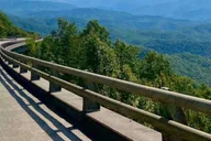 Pigeon Forge Smoky Bear Discovery Tour 3 hr thumbnail 5
