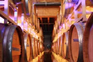 Seattle Snoqualmie Falls & Wine Tasting Tour thumbnail 6