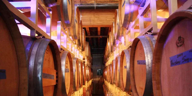 Seattle Snoqualmie Falls & Wine Tasting Tour - Image 6