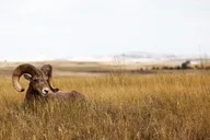 Badlands National Park Bicycle Tour thumbnail 6