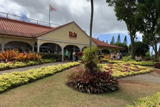 Oahu Tour Dole Plantation and Northshore - Image 1