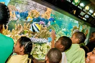 Boston New England Aquarium Admission thumbnail 6