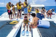 Key West Snorkeling Experience with Drinks 3 hr thumbnail 4