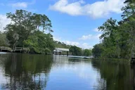 Jacksonville Kayak Rental Adventure on Ortega River thumbnail 6