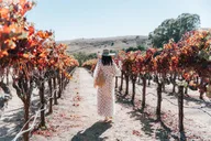 Napa Valley Private Wine Tour thumbnail 3