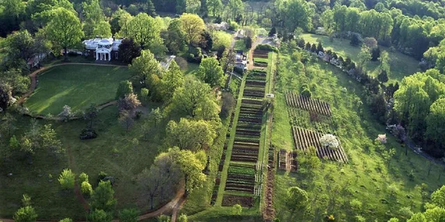 Washington D.C. Monticello Day Tour - Image 6