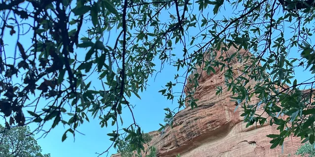 Sedona Sacred Places and Vortex Tour - Image 5