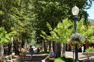 Aspen Historic Tour thumbnail 6