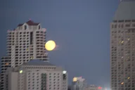 San Diego Nighttime Sailing Trip thumbnail 4
