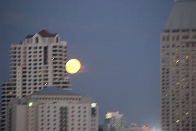 San Diego Nighttime Sailing Trip - Image 4
