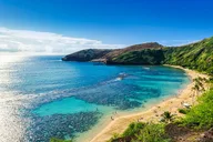 Oahu Private Nature and Turtle Tour 6 hr thumbnail 6